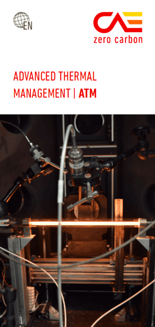 CAE Working Group Advanced Thermal Management